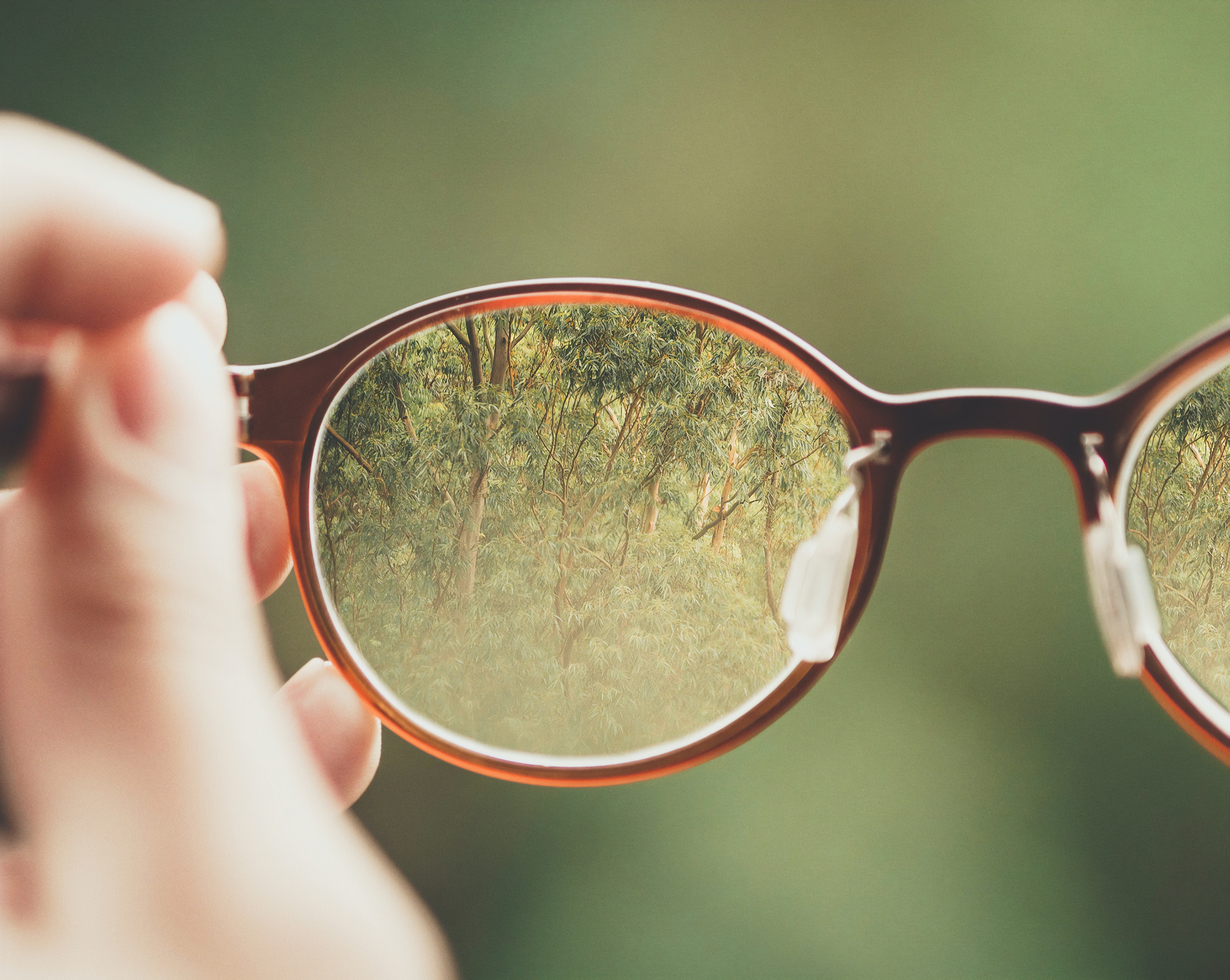 eyeglasses without prescription lenses